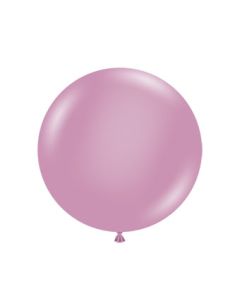 24C TUF TEX CANYON ROSE (BAG25)(O)