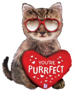 LRG SHP PURRFECT CAT 26" (PKG)(D) sale