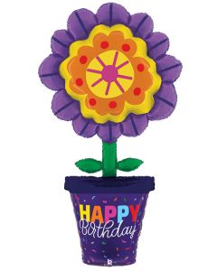 LRG SHP HB BOLD BLOOMS SPECIAL DELIVERY 63" (PKG)