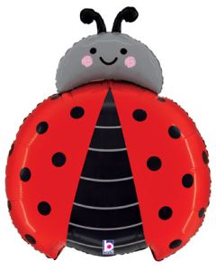 LRG SHP LADYBUG 39" (PKG)