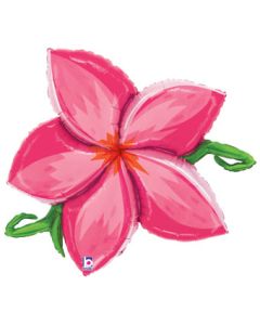 LRG SHP LINKY PLUMERIA - PINK 39" (PKG)