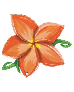 LRG SHP LINKY PLUMERIA - ORANGE 39" (PKG)