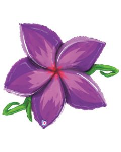 LRG SHP LINKY PLUMERIA - PURPLE 39" (PKG)
