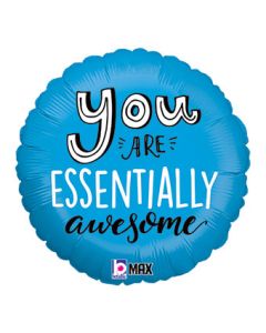 18C YOU ARE ESSENTIALLY AWESOME (D)