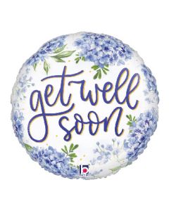 18C GET WELL SOON HYDRANGEA (PKG)