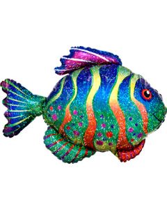 LRG SHP COLORFUL FISH 33" (HOLO)(PKG)