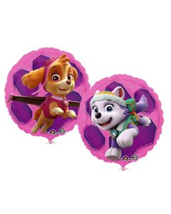 18C PAW PATROL SKYE & EVEREST (PKG)