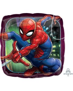 18SQ SPIDER-MAN ANIMATED (PKG)