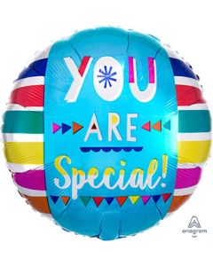 18C YOU ARE SPECIAL!! FUN TYPE (PKG)
