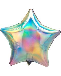 19S IRIDESCENT PASTEL RAINBOW (HOLO)(PKG)