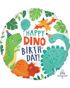 18C HB DINO PARTY (PKG)