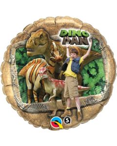 18C DINO DAN DINOSAURS (PKG)(D) sale