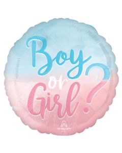 18C THE BIG REVEAL BOY OR GIRL (PKG)