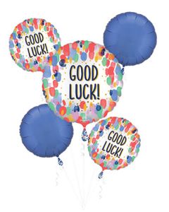 BOUQUET GOOD LUCK SATIN PAINTERLY DOTS (PKG)