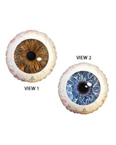 18C CREEPY BROWN & BLUE EYEBALLS (PKG)(D) sale