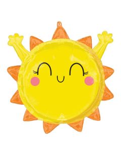 ROLY POLIES SENDING YOU SUNSHINE 21" (PKG)