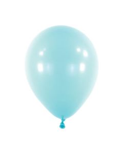 5C ANAGRAM STANDARD PASTEL BLUE (BAG100)(D)