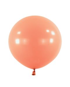 24C ANAGRAM FASHION CORAL (PK 4)(D)