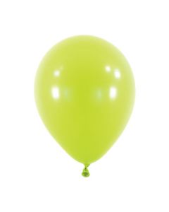 5C ANAGRAM FASHION KIWI (BAG100)(D) sale