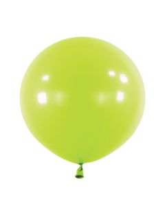 24C ANAGRAM FASHION KIWI (PK 4)(D)