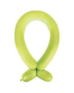 360A ANAGRAM FASHION KIWI (BAG100)