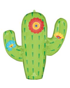 LRG SHP FIESTA CACTUS 28" (PKG)
