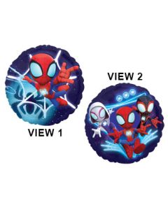 18C SPIDEY AND HIS AMAZING FRIENDS (PKG)