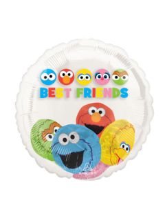 INSIDER SESAME STREET 20" (PKG)