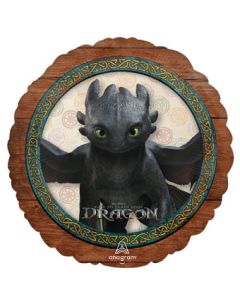 18C HOW TO TRAIN YOUR DRAGON (PKG)