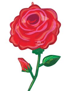 LRG SHP ROSE RADIANCE 38" (PKG)