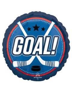 18C HOCKEY GOAL (PKG)