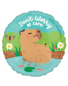 18C CAPYBARA CRAZE DON'T WORRY BE CAPPY (PKG)