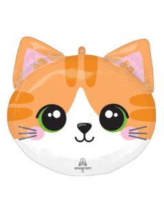 18SHP CUTE KITTY (PKG)