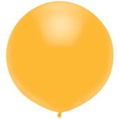 17C BSA RADIANT GOLD (BAG72)(D) sale